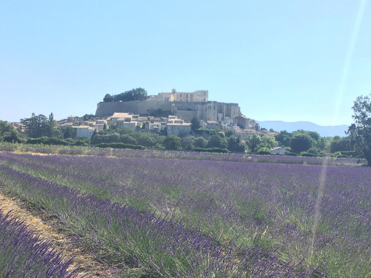 Le Clos De La Tuiliere グリニャン エクステリア 写真